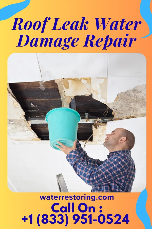 Roof Leak Water Damage Repair in Golden Valley, ND