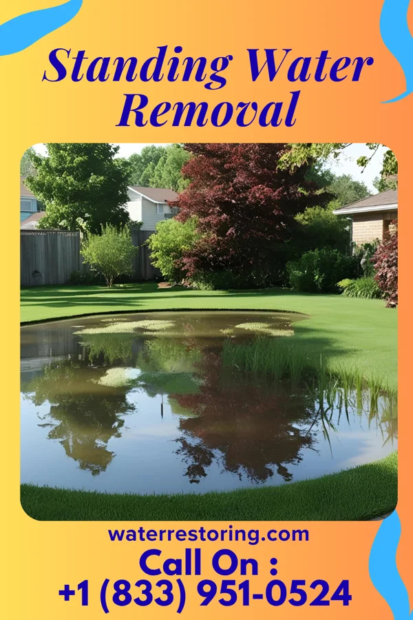 Standing Water Removal in Golden Valley, ND